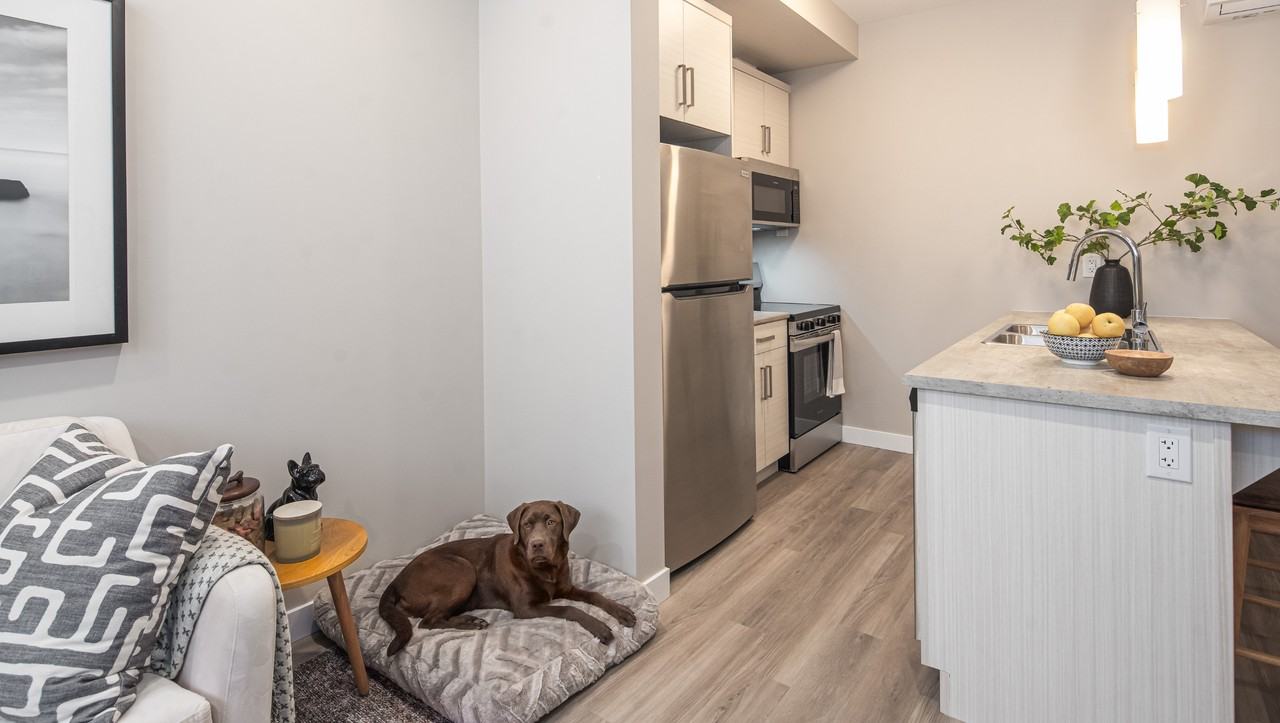 290 Normandeau - Photo 4 of 50