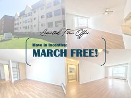 featured image of 11104 84 Ave Nw