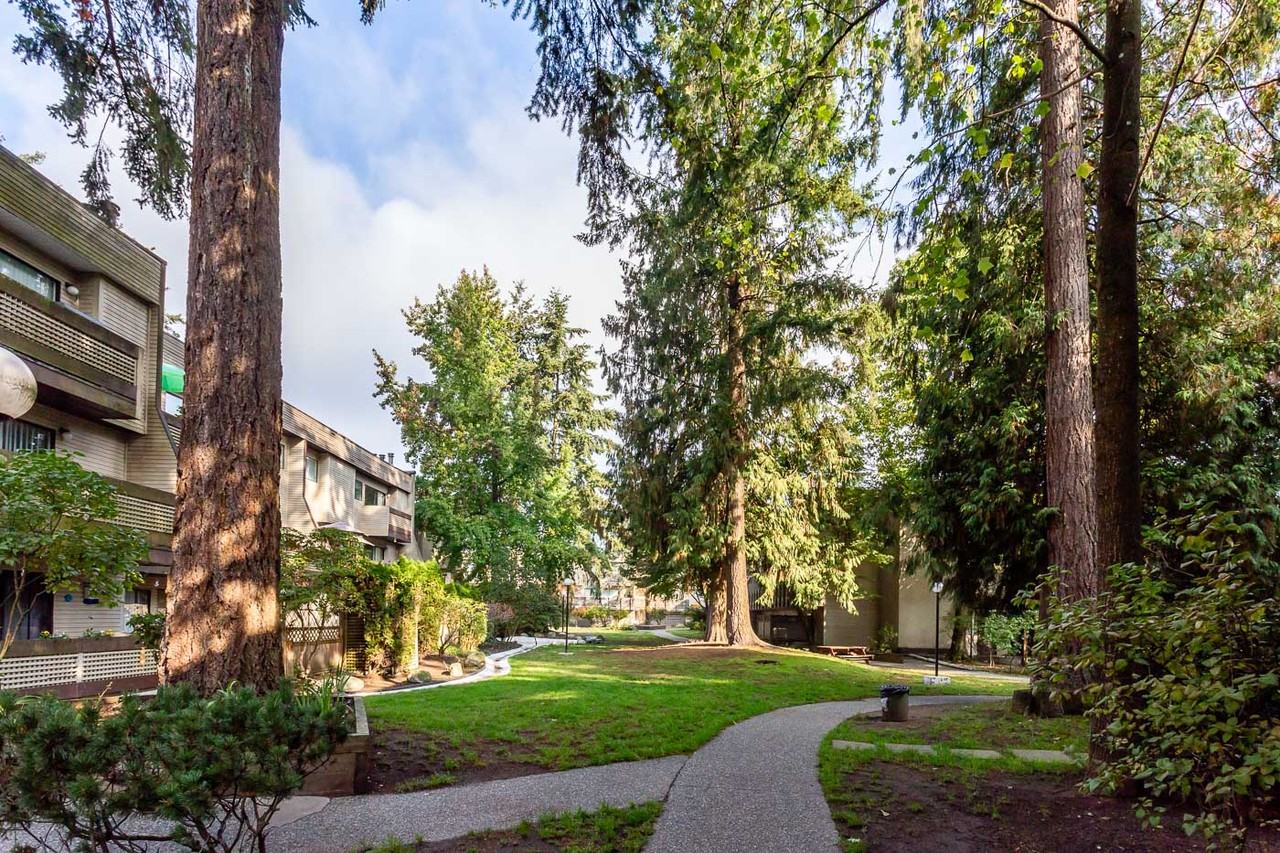 Shannon Gardens Apartments - Photo 5 of 10