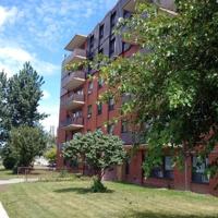 featured image of 1555 Birchmount Rd