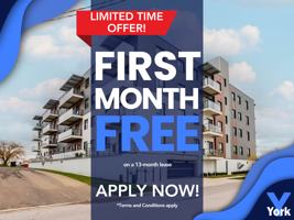 featured image of 228 Mcconnell St