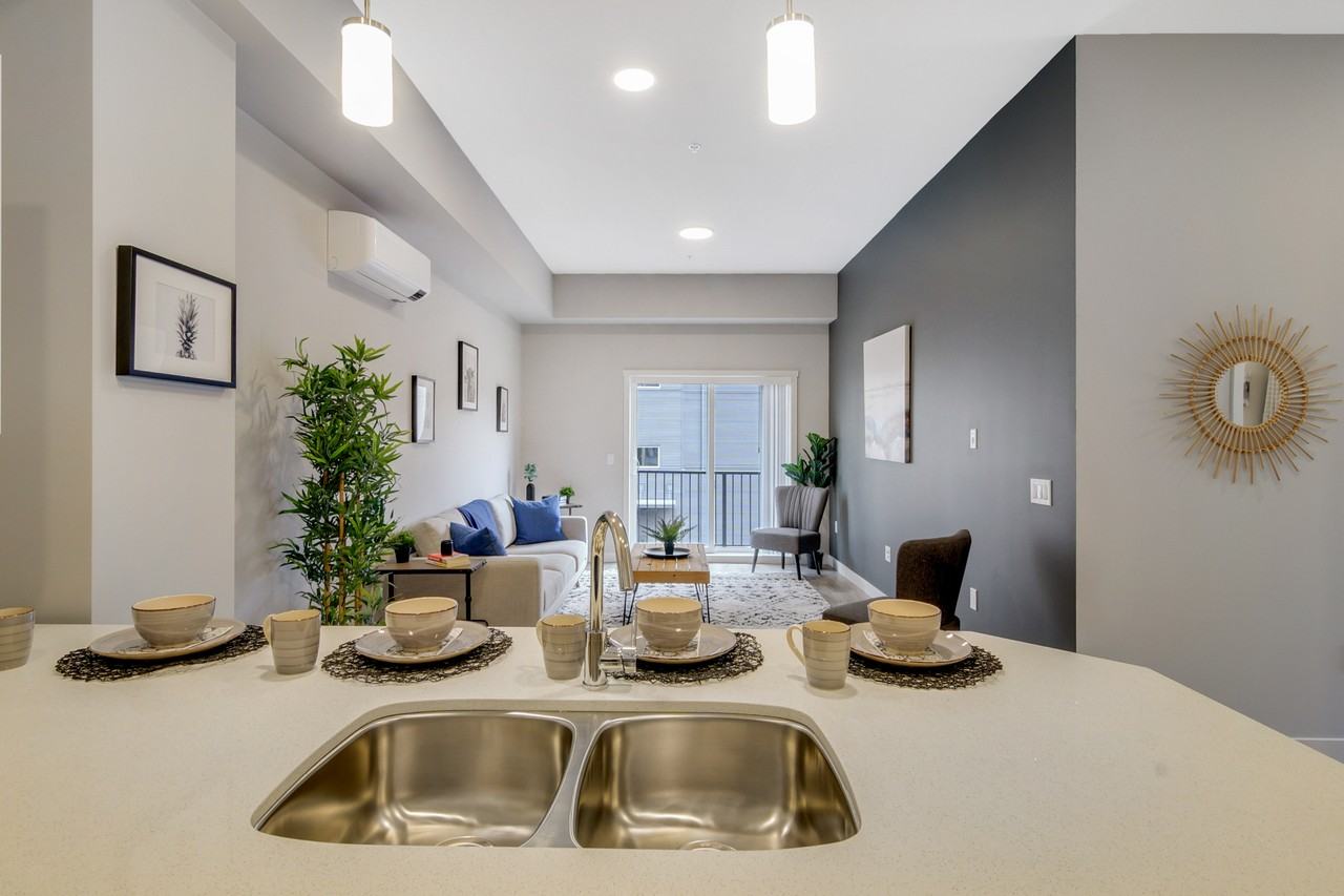 The Aurora - Photo 4 of 20