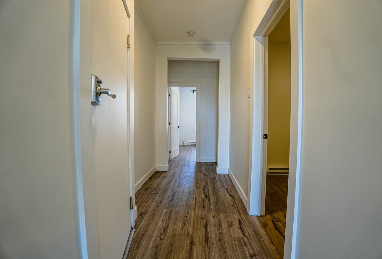 2477-2487 Rue Rachel - Photo 5 of 16