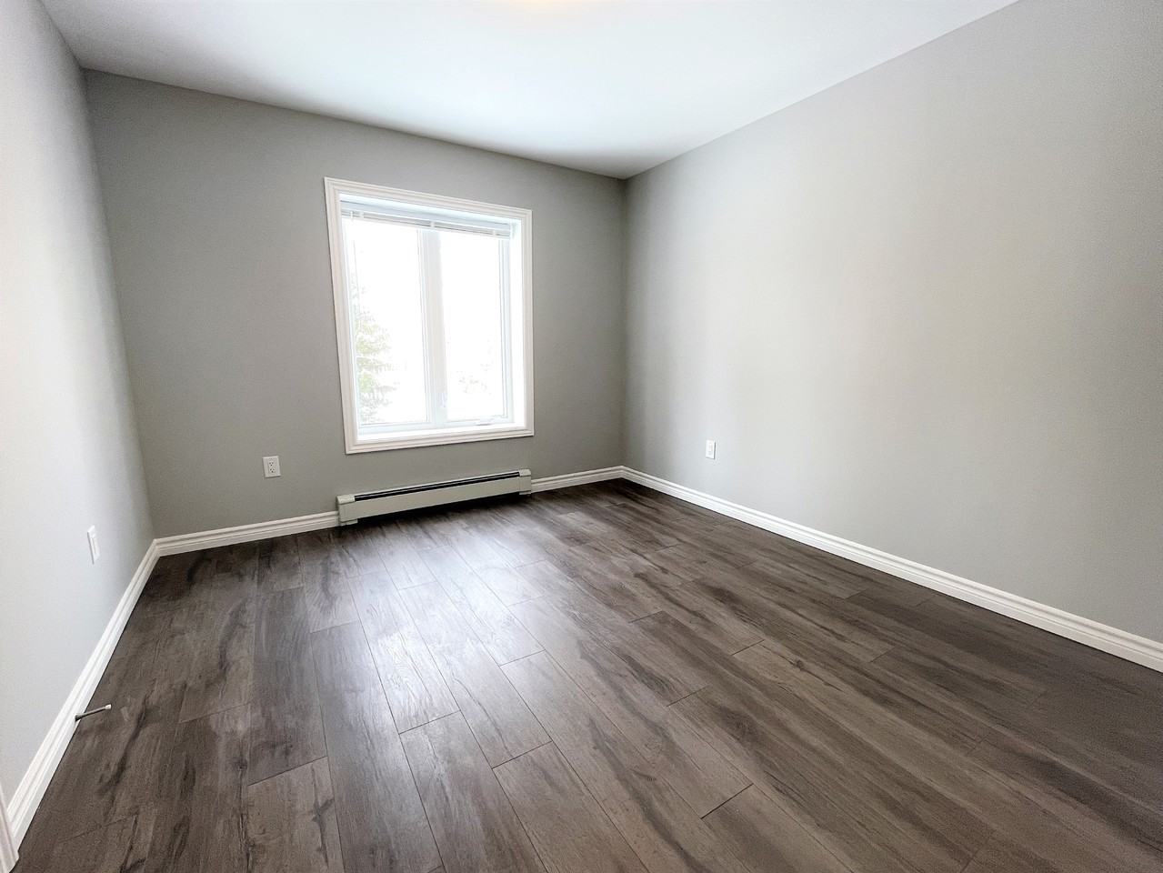 31 Alfred St. - Photo 5 of 15