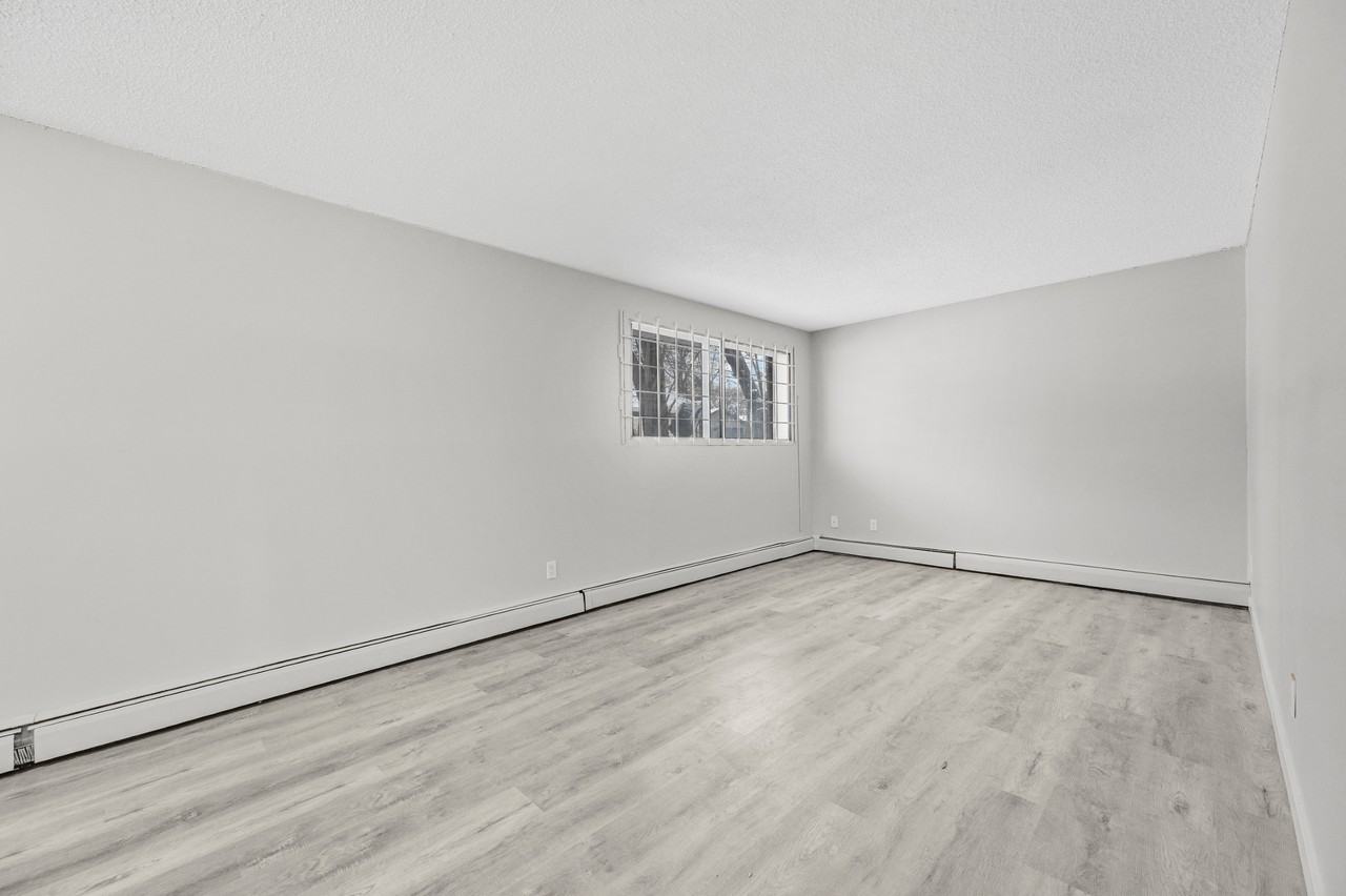 Black Forest Manor - Photo 4 of 20