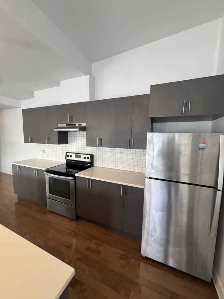 808 Rue Beaubien Est - Photo 4 of 21