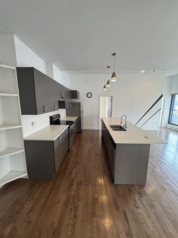 808 Rue Beaubien Est - Photo 5 of 21