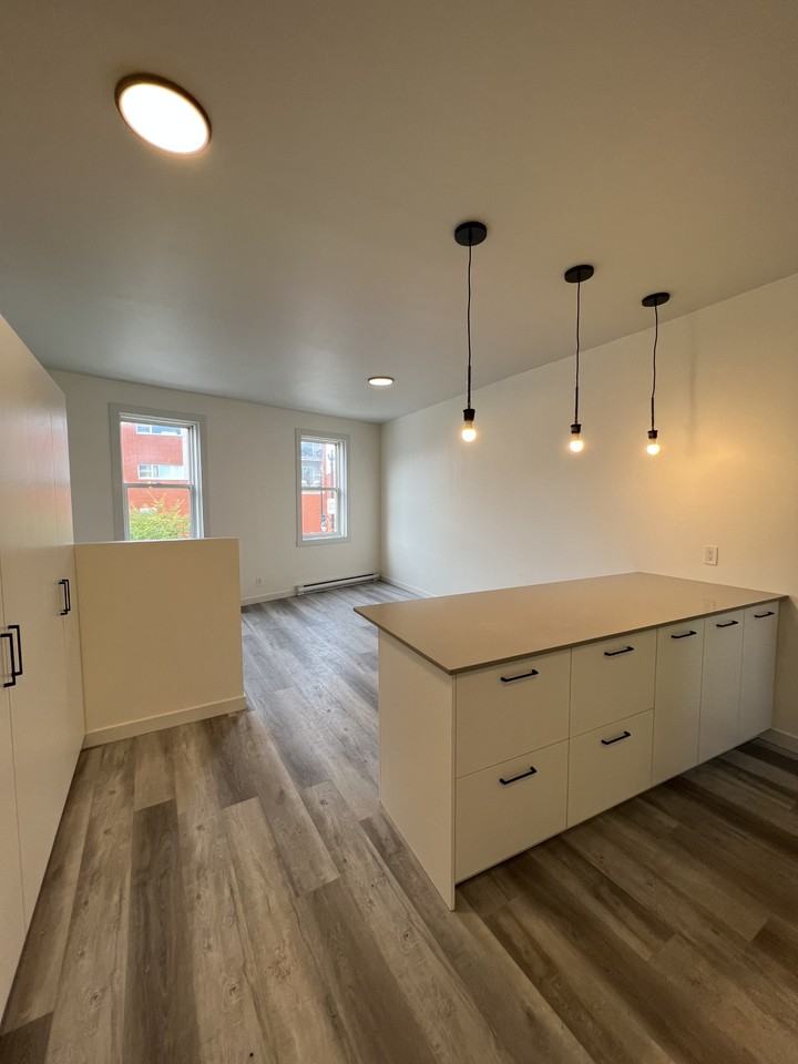 507 Rose de Lima & 3493 Notre Dame West - Photo 4 of 11