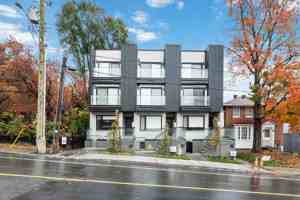 featured image of 115 Springfield Rd