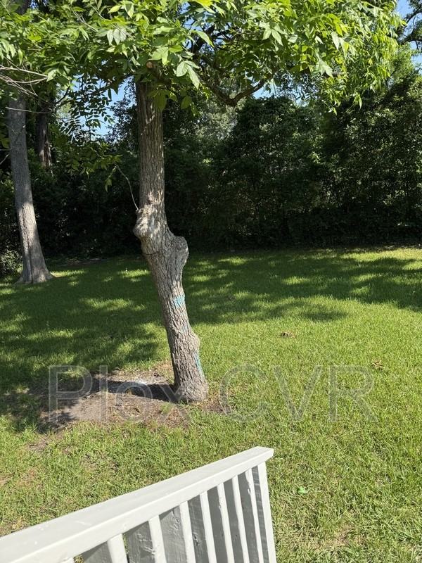 2711 Pecan St - Photo 4 of 8