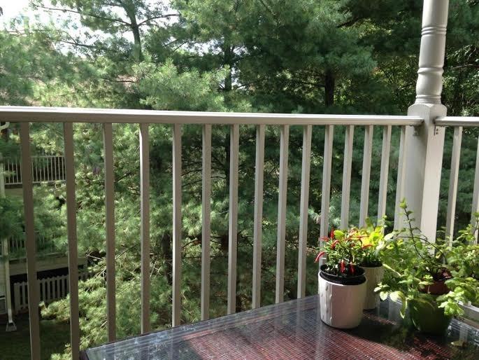 3112 Wallaby Trce #510 - Photo 2 of 11