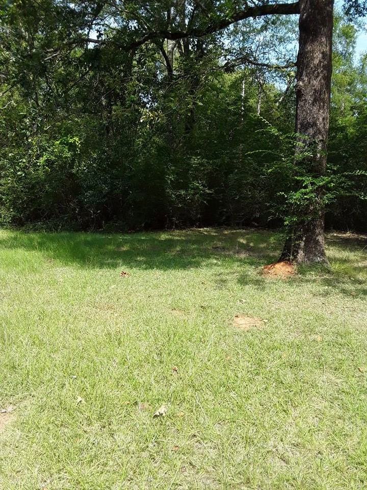 164 Laverne Cir Sw #1 - Photo 6 of 7