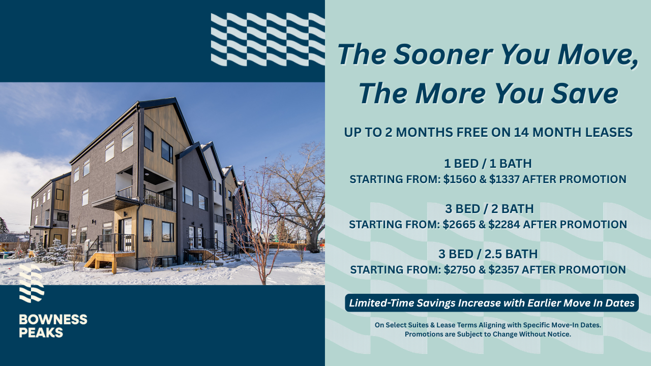 Live at Bow - Photo 2 of 50