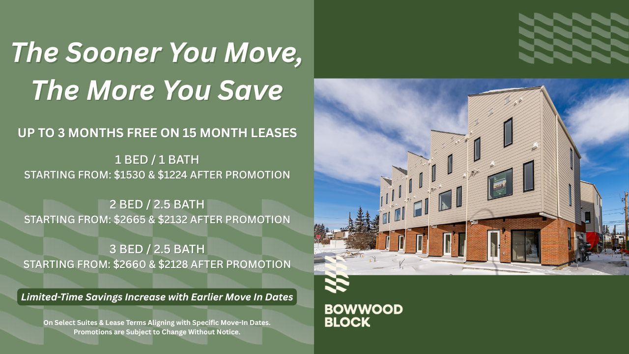 Live at Bow - Photo 6 of 50