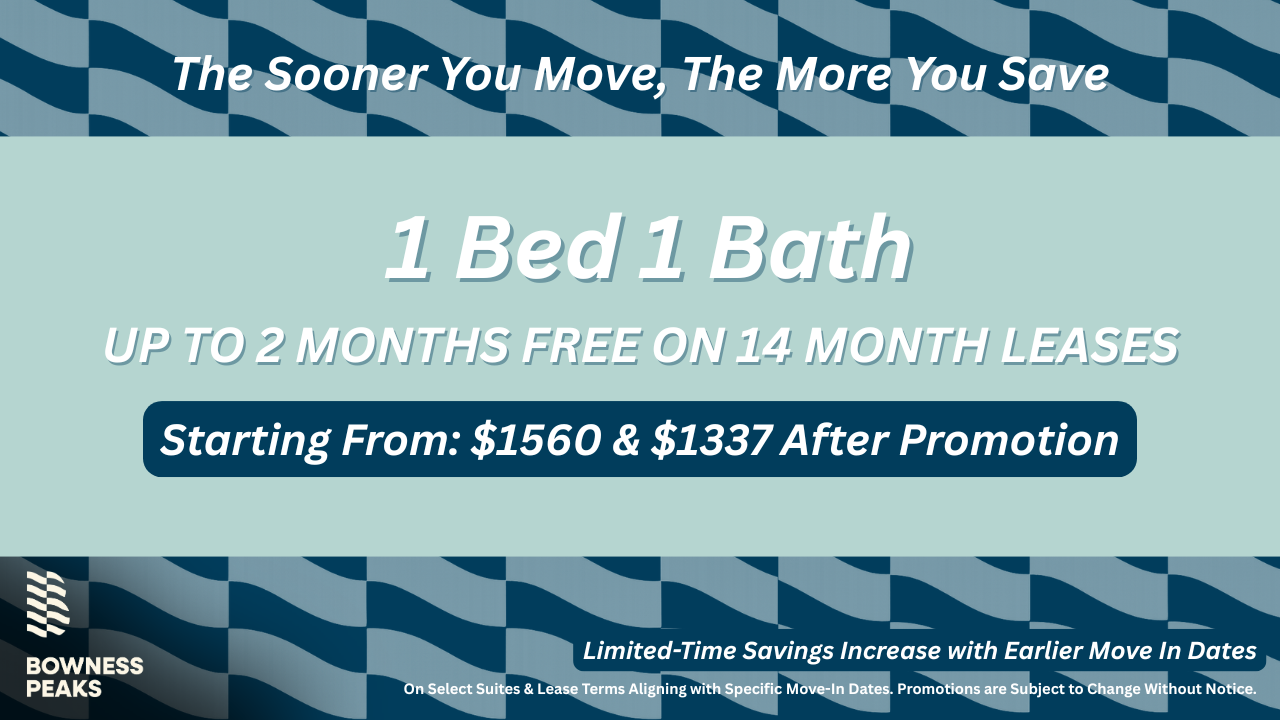 Live at Bow - Photo 7 of 50