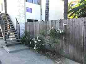 1248 N. Las Palmas - Photo 1 of 1