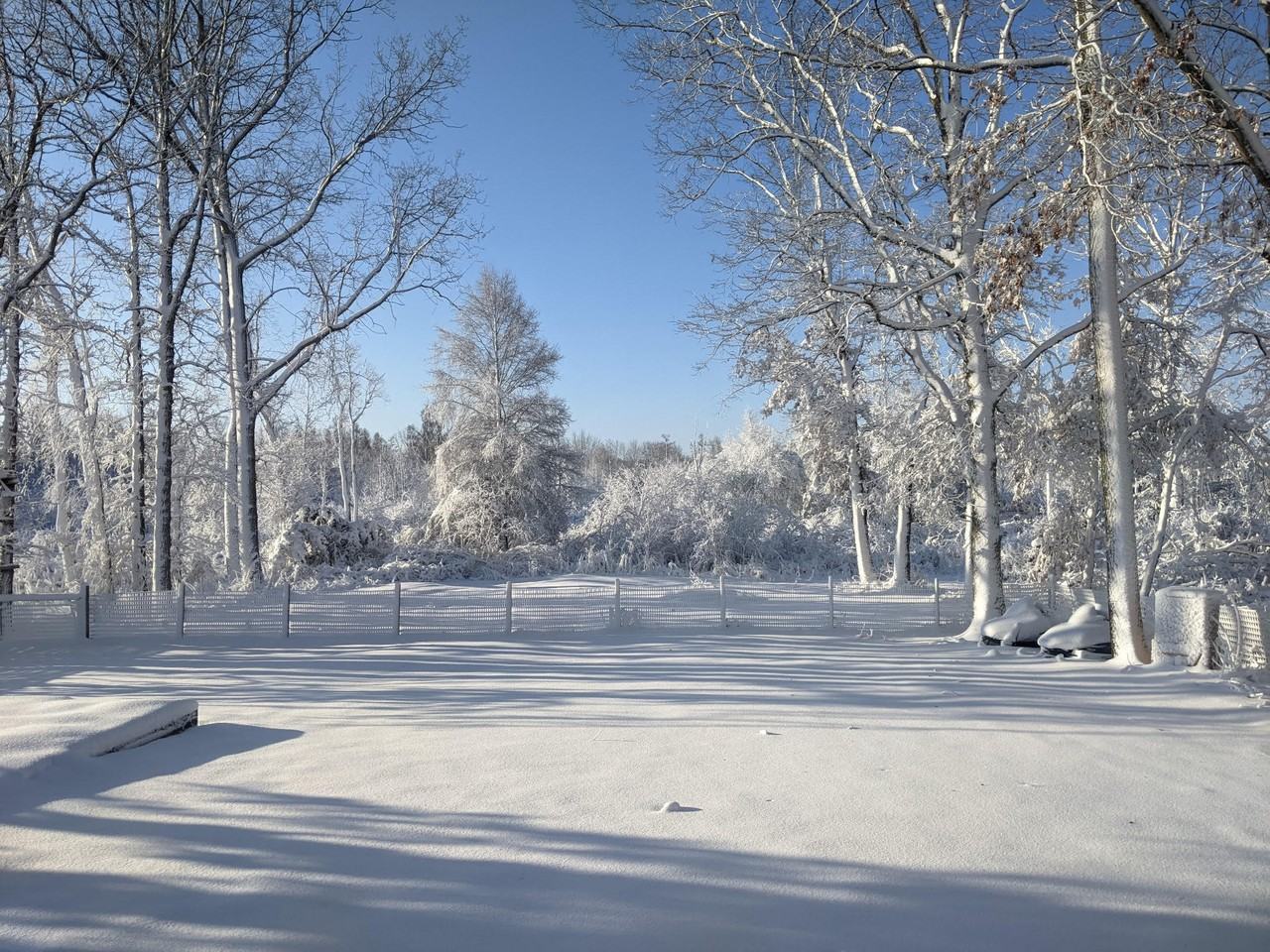1719 Charms Rd #NA - Photo 2 of 21