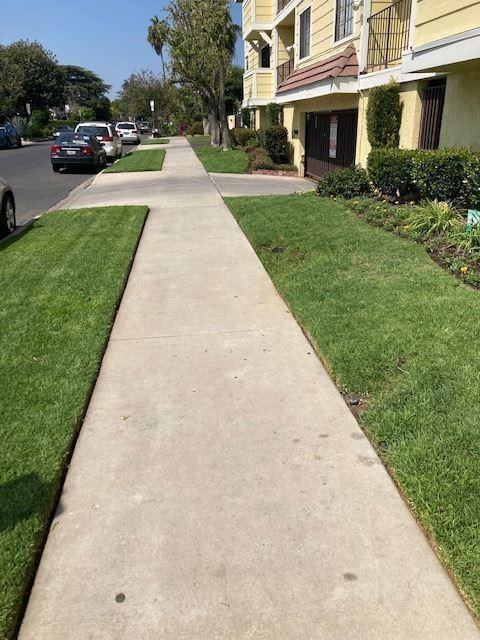 Nelk Manor - Photo 3 of 50