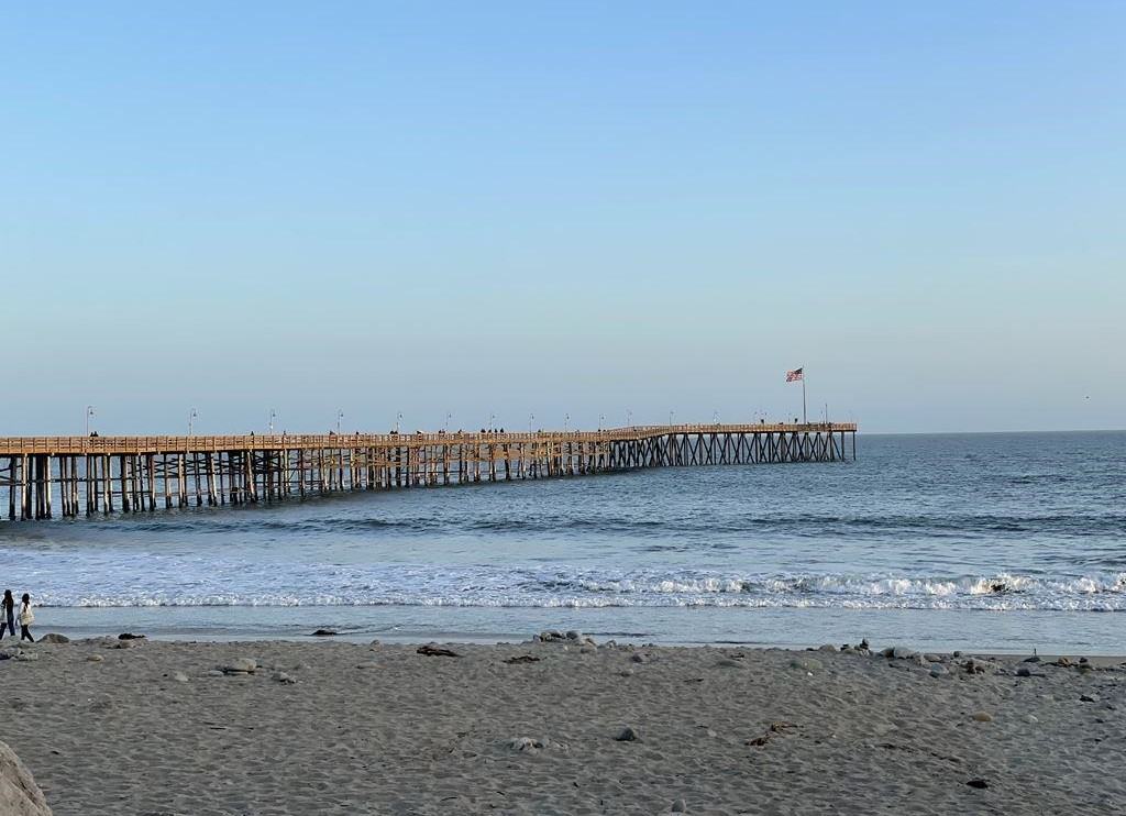 732 E. Santa Clara St. - Photo 4 of 50