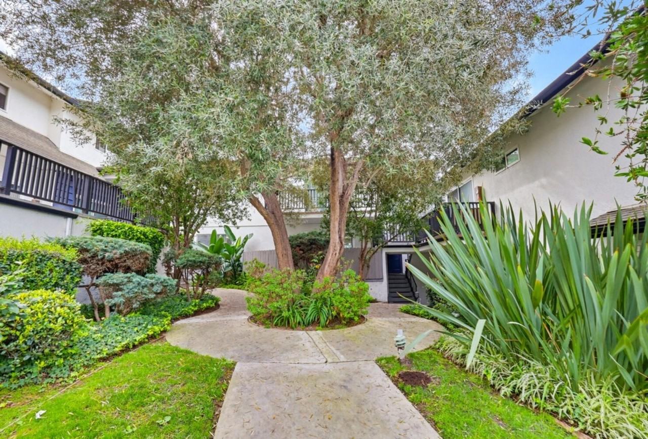 Barbara Collection - Photo 5 of 50