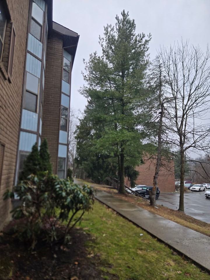 Virginia Manor - Photo 3 of 14