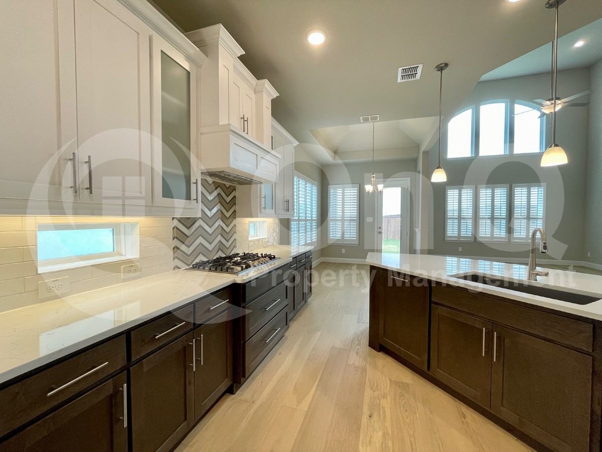 12905 Pink Star Ct - Photo 4 of 45