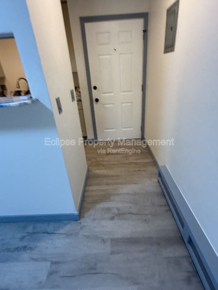 125 Franklin Ave #313 - Photo 3 of 26