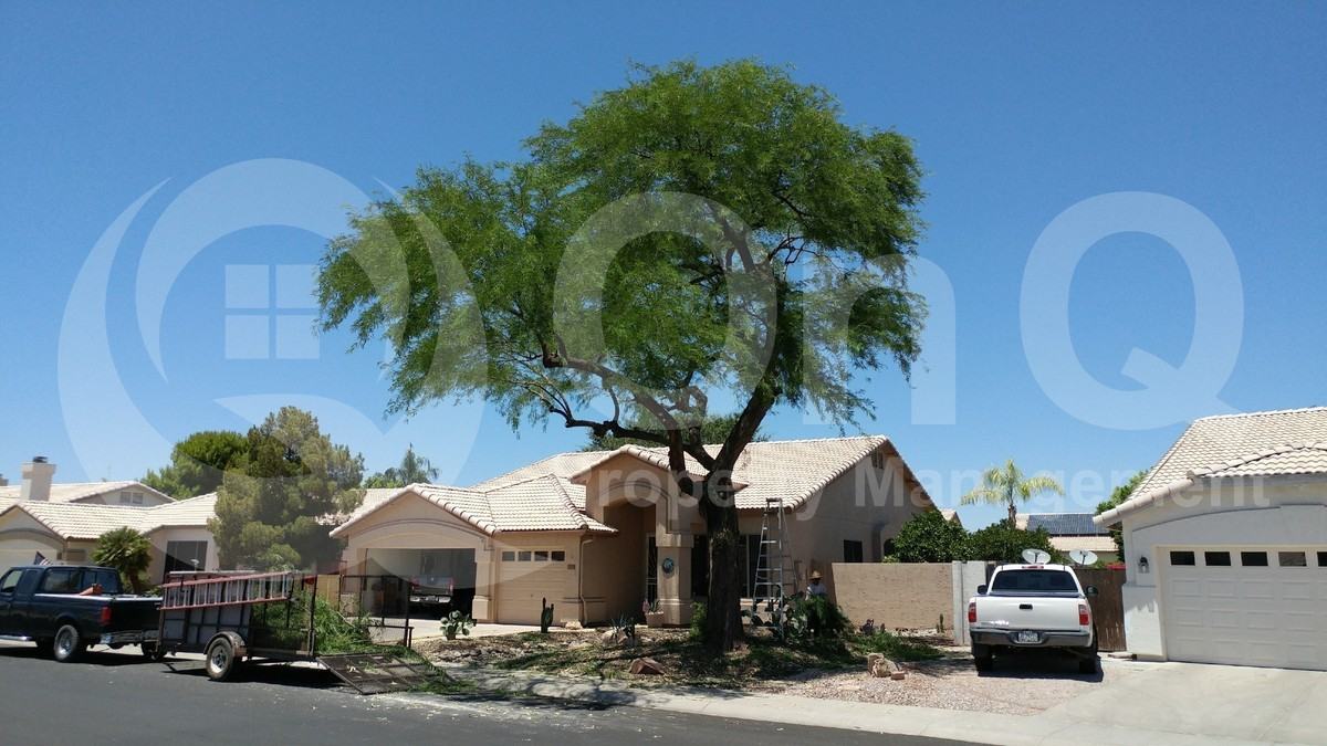 1124 W Pinon Ave - Photo 2 of 21