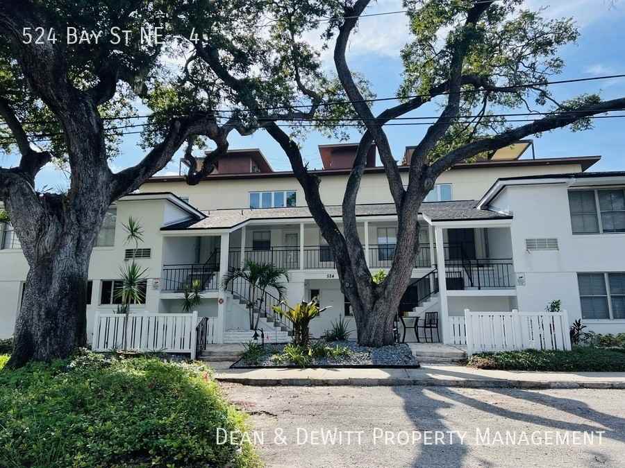 524 Bay St Ne #4