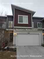 featured image of 11498 S Hollybrook Loop