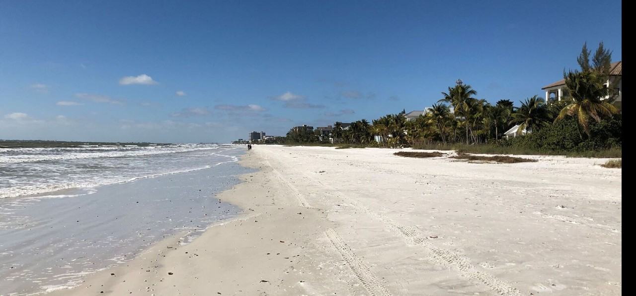 2709 Magdalina Dr #B102 - Photo 2 of 15