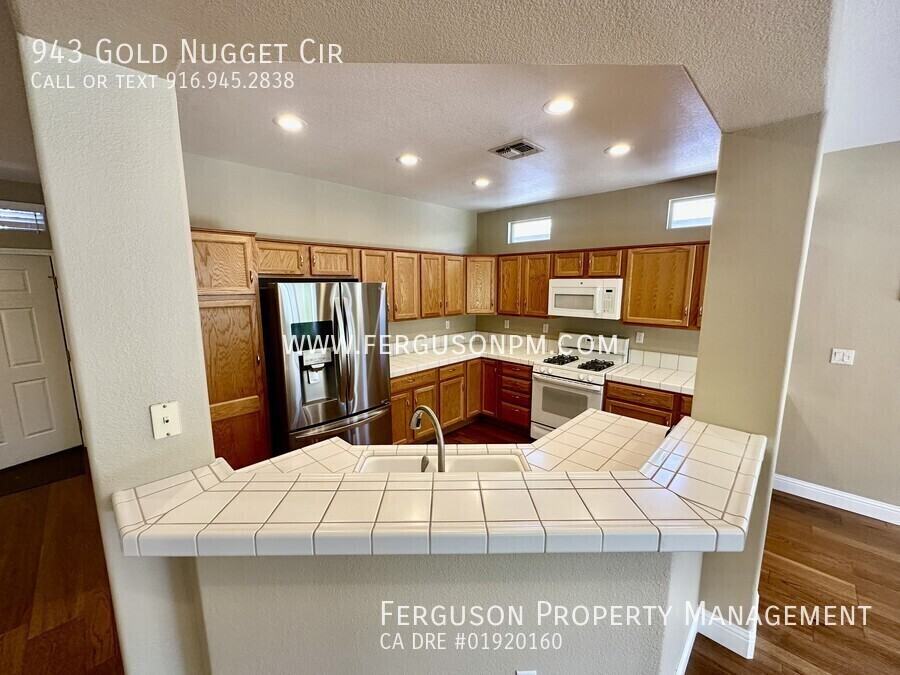 943 Gold Nugget Cir - Photo 3 of 17