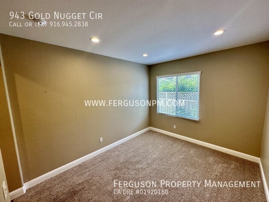 943 Gold Nugget Cir - Photo 7 of 17