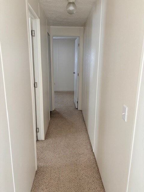 104 Terri Dr - Photo 5 of 5