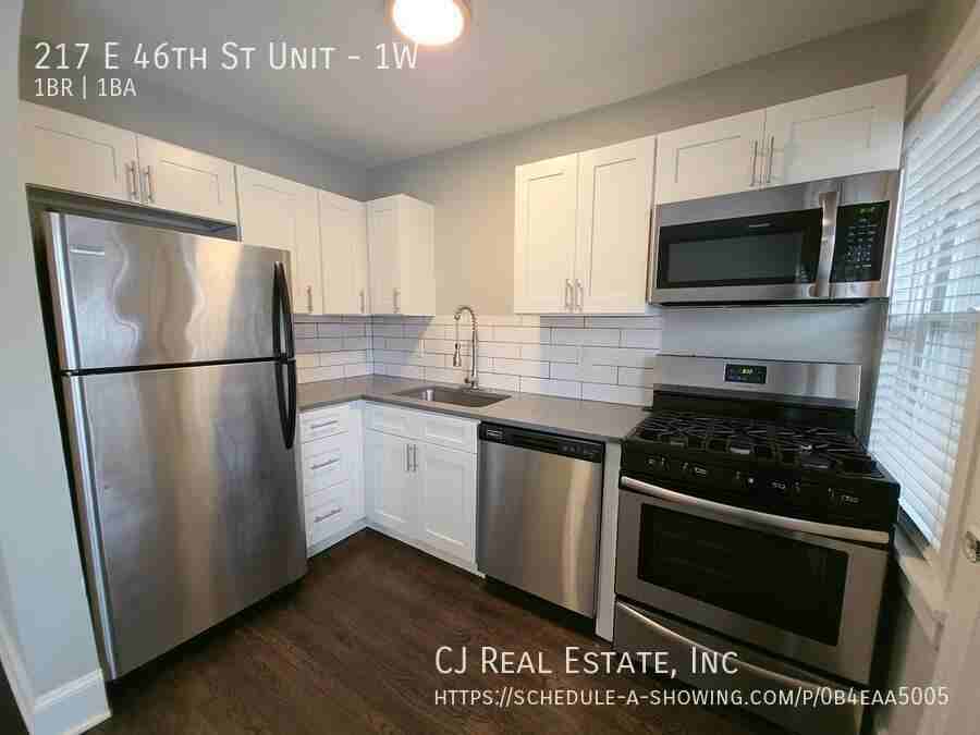 217 E 46th St #1W - Photo 7 of 10