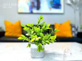 207 S Dupont St #3 - Photo 1 of 1