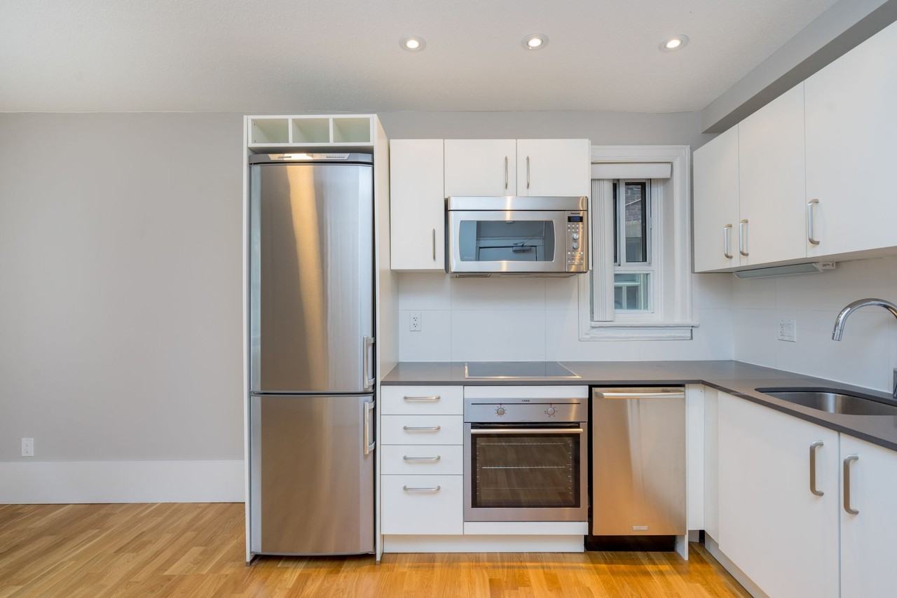 54 - 56 Maitland Street - Photo 4 of 50