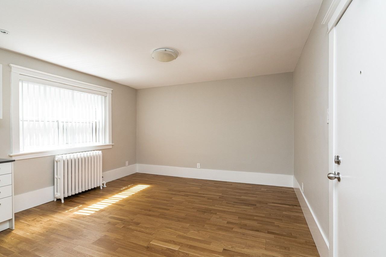 54 - 56 Maitland Street - Photo 5 of 50