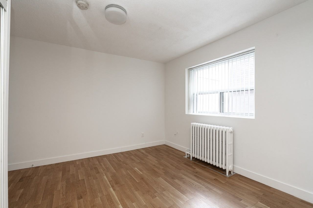 54 - 56 Maitland Street - Photo 6 of 50