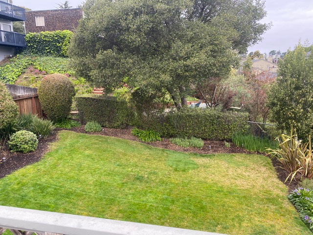 610A Wateree St - Photo 5 of 6