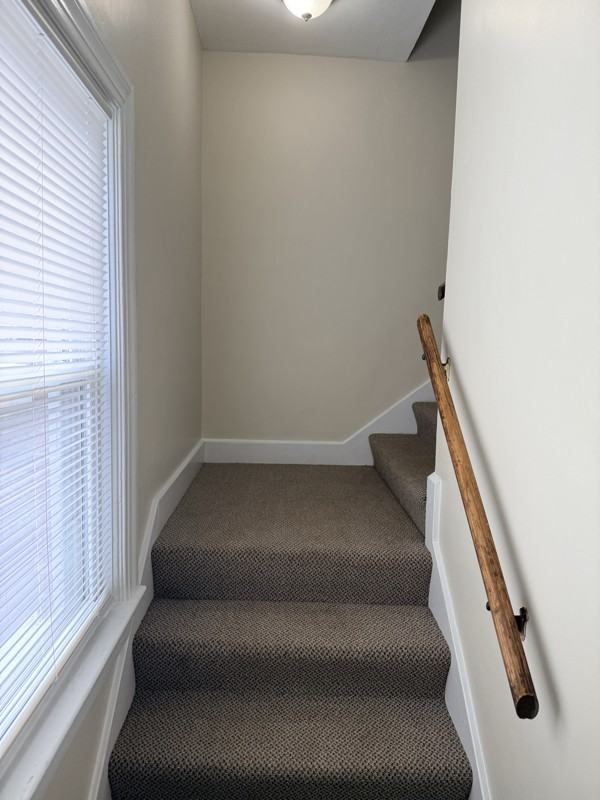 217 Norbourne Blvd - Photo 2 of 15