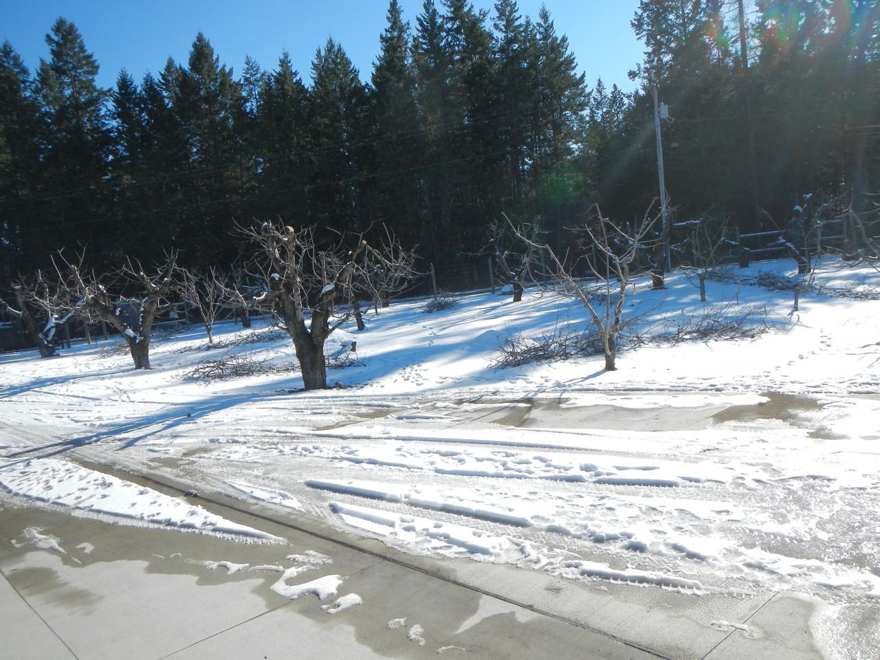 14328 Sylvan Dr #NA - Photo 6 of 31