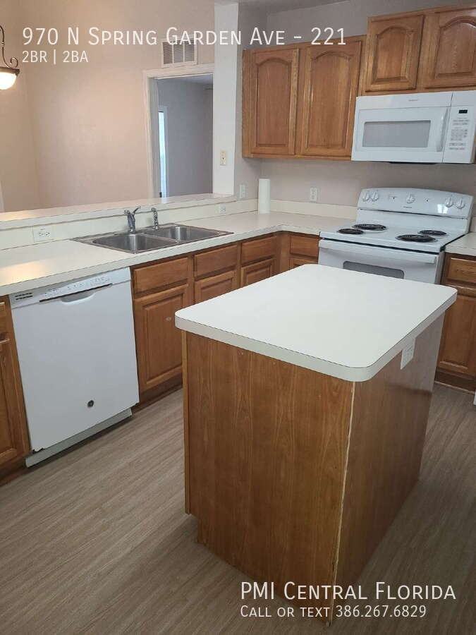 970 N Spring Garden Ave #221 - Photo 6 of 24