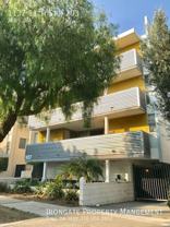 1137 11th St #203 - Photo 1 of 1