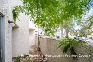 featured image of 3342 Darby St #317