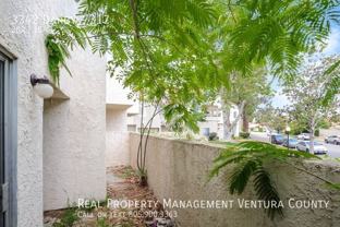 3342 Darby St #317 - Photo 1 of 1