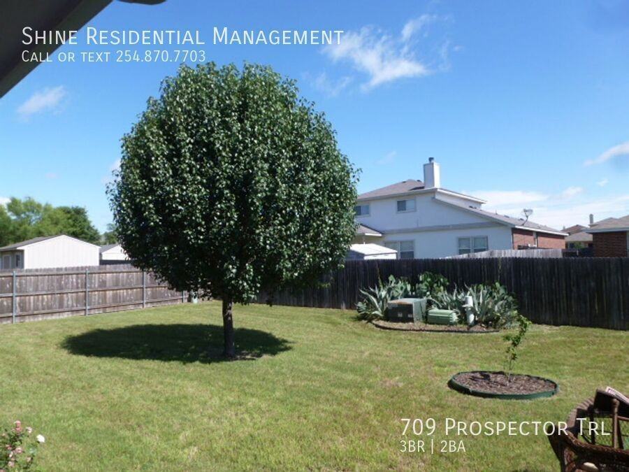 709 Prospector Trl - Photo 3 of 13