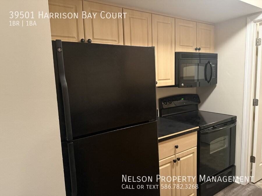 39501 Harrison Bay Ct - Photo 3 of 8