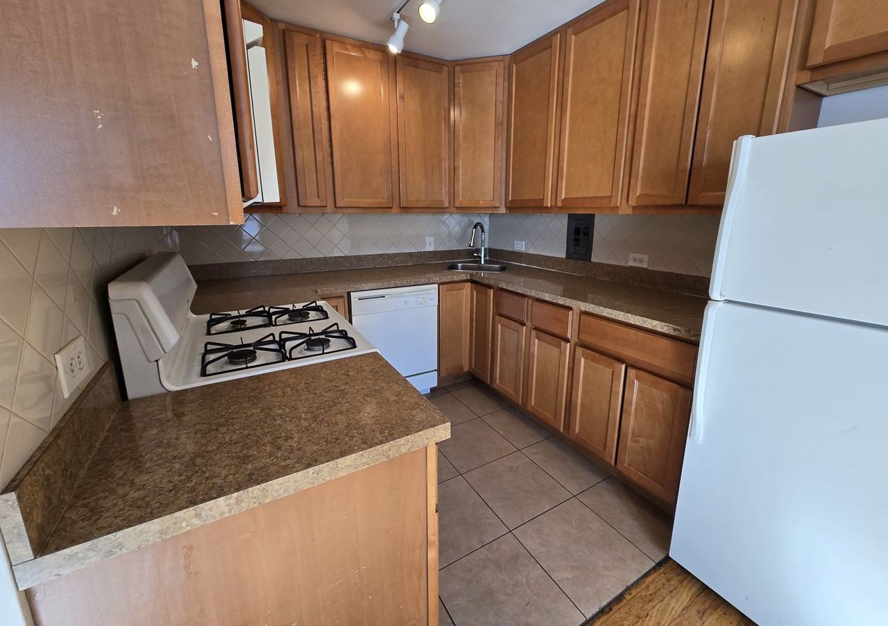 4114 N Kedvale Ave #2E - Photo 6 of 14