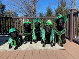 3683 Claypond Rd - Photo 1 of 1